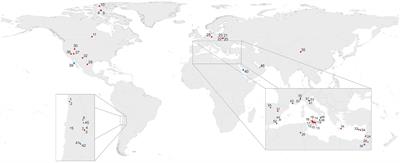 Microbial colonization of gypsum: from the fossil record to the present day